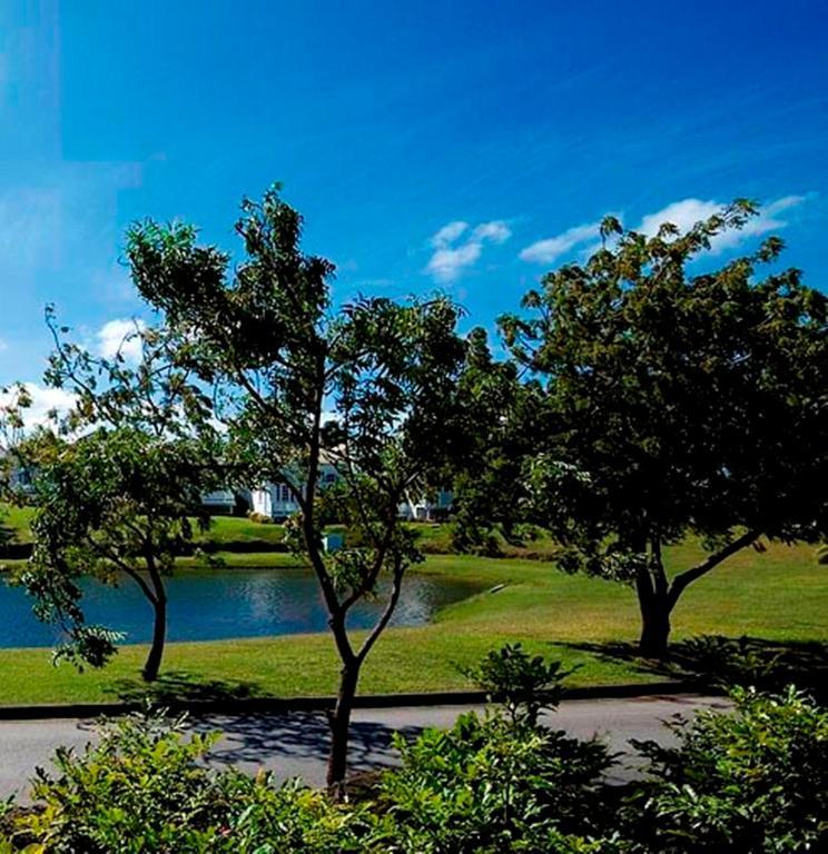 Coconut Grove 1, Luxury Villa By Island Villas Saint James Zewnętrze zdjęcie